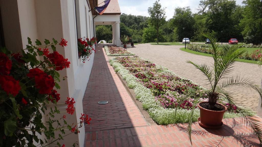 Sarlospuszta Club Hotel Tatarszentgyorgy Exterior photo